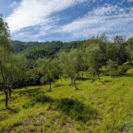 La Pianazza: Coastal Retreat With Private Garden Villa